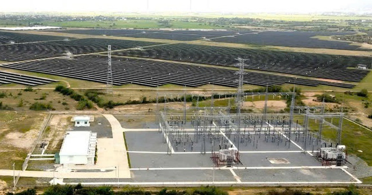 Truy tố cựu Phó cục trưởng Cục Thuế Ninh Thuận cũ vì 'cất' hồ sơ truy thu 73 tỉ đồng - Báo Tuổi Trẻ