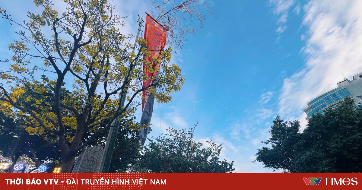 Cây nêu ngày Tết - dấu ấn văn hóa Việt và điểm chạm du xuân tại Khánh Hòa - VTV.vn