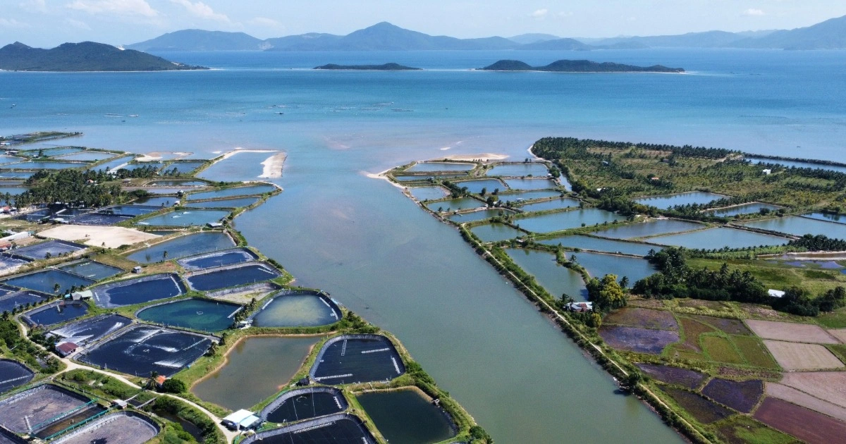 Thực hư thông tin xây cầu vượt biển qua vịnh Vân Phong - Báo Dân trí