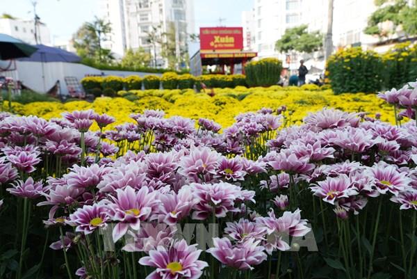 Photo - Rực rỡ sắc Xuân Bính Ngọ 2026 - bnews.vn