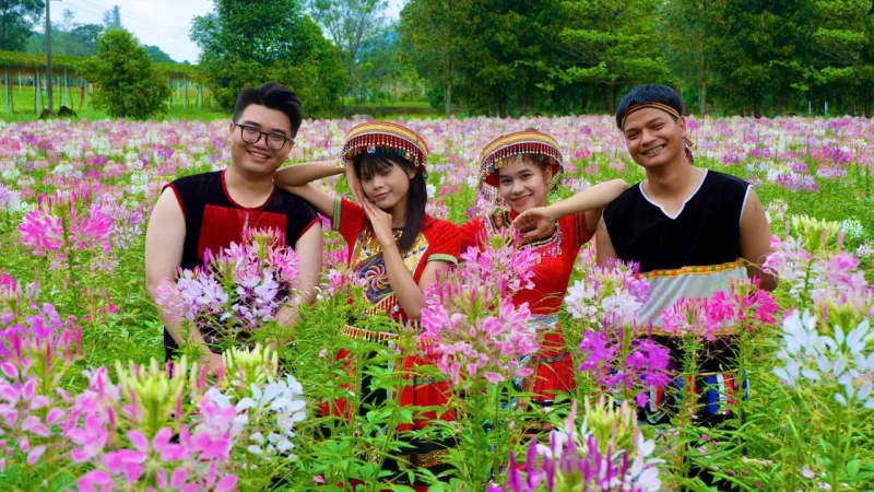 Vườn hoa hồng ri gần 5.000m² đồng loạt khoe sắc thu hút giới trẻ đến check -in liên tục - Thế giới tiếp thị